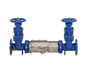 Barracuda-20 FDC SS Stainless Steel Double Check Backflow Preventer - 2 ...
